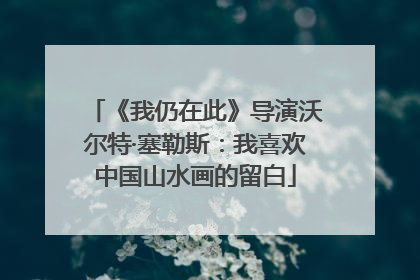 《我仍在此》导演沃尔特·塞勒斯：我喜欢中国山水画的留白