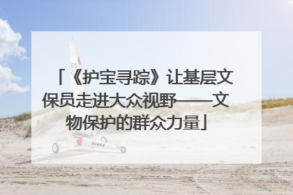 《护宝寻踪》让基层文保员走进大众视野——文物保护的群众力量