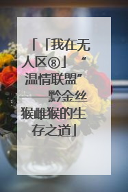 「我在无人区⑧」“温情联盟”——黔金丝猴雌猴的生存之道