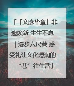 「文脉华章」非遗焕新 生生不息｜漫步六尺巷 感受礼让文化浸润的“巷”往生活
