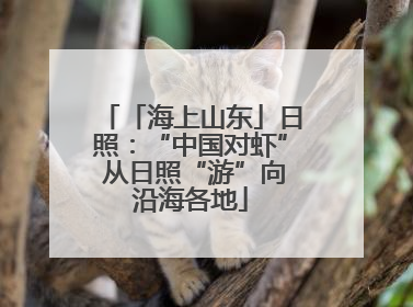 「海上山东」日照：“中国对虾” 从日照“游”向沿海各地