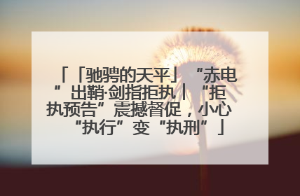「驰骋的天平」“赤电”出鞘·剑指拒执︱“拒执预告”震撼督促，小心“执行”变“执刑”