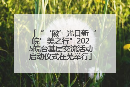 “‘徽’光日新‘皖’美之行”2025皖台基层交流活动启动仪式在芜举行