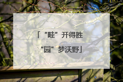 “畦”开得胜 “园”梦沃野