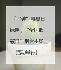 “碳”寻夏日绿趣，“全国低碳日”烟台主场活动举行