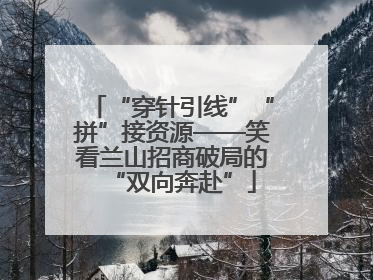 “穿针引线”“拼”接资源——笑看兰山招商破局的“双向奔赴”
