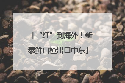“红”到海外！新泰鲜山楂出口中东