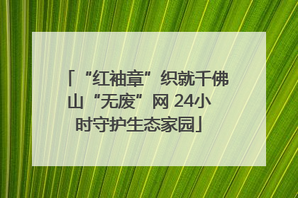 “红袖章”织就千佛山“无废”网 24小时守护生态家园