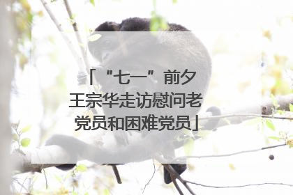 “七一”前夕 王宗华走访慰问老党员和困难党员