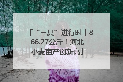 “三夏”进行时丨866.27公斤！河北小麦亩产创新高