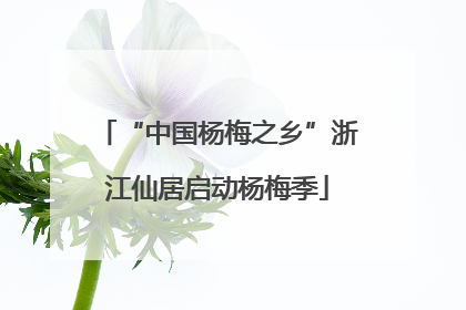“中国杨梅之乡”浙江仙居启动杨梅季