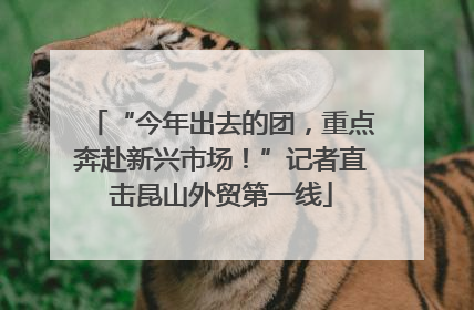 “今年出去的团，重点奔赴新兴市场！”记者直击昆山外贸第一线
