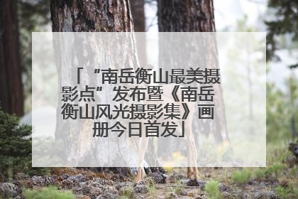 “南岳衡山最美摄影点”发布暨《南岳衡山风光摄影集》画册今日首发