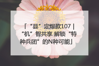 “县”定爆款107｜“机”智共享 解锁“特种兵团”的N种可能