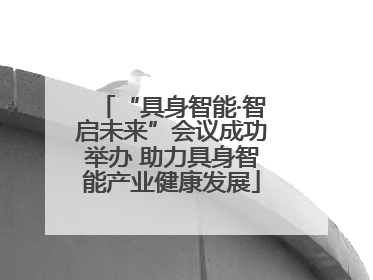 “具身智能·智启未来”会议成功举办 助力具身智能产业健康发展