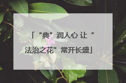 “典”润人心 让“法治之花”常开长盛