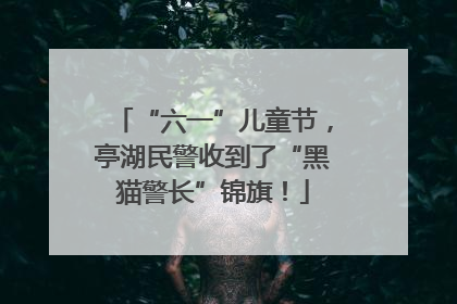 “六一”儿童节，亭湖民警收到了“黑猫警长”锦旗！