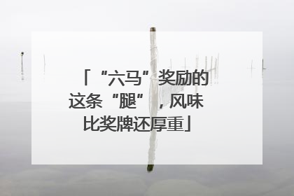 “六马”奖励的这条“腿”，风味比奖牌还厚重