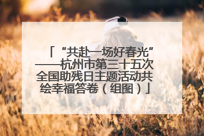 “共赴一场好春光”——杭州市第三十五次全国助残日主题活动共绘幸福答卷（组图）