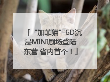 “加菲猫”6D沉浸MINI剧场登陆东营 省内首个！