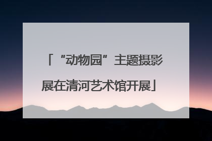 “动物园”主题摄影展在清河艺术馆开展