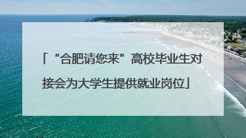“合肥请您来”高校毕业生对接会为大学生提供就业岗位