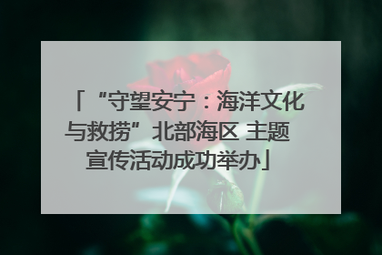 “守望安宁：海洋文化与救捞”北部海区 主题宣传活动成功举办