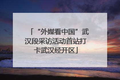 “外媒看中国”武汉段采访活动首站打卡武汉经开区