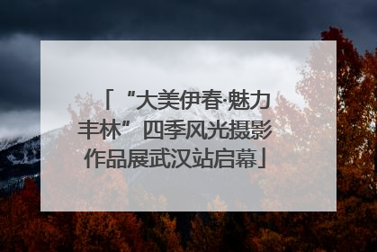 “大美伊春·魅力丰林”四季风光摄影作品展武汉站启幕