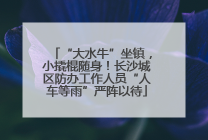 “大水牛”坐镇，小撬棍随身！长沙城区防办工作人员“人车等雨”严阵以待