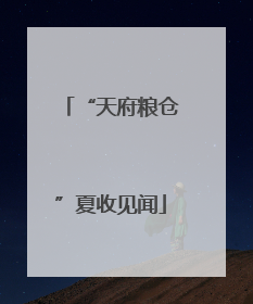 “天府粮仓”夏收见闻