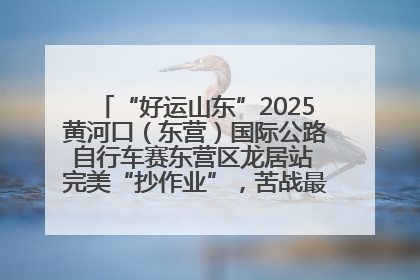 “好运山东”2025黄河口（东营）国际公路自行车赛东营区龙居站 完美“抄作业”，苦战最后时刻黄衫易主