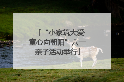 “小家筑大爱·童心向朝阳”六一亲子活动举行