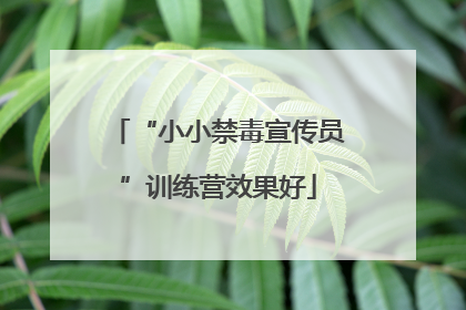 “小小禁毒宣传员”训练营效果好