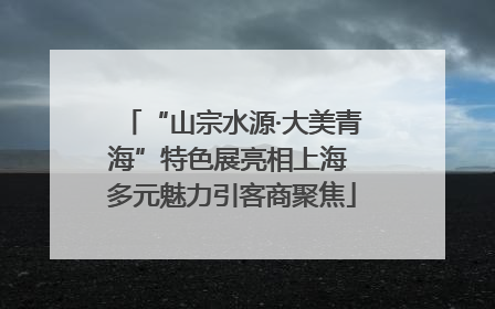 “山宗水源·大美青海”特色展亮相上海 多元魅力引客商聚焦