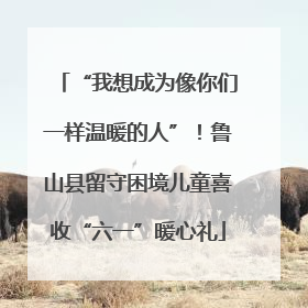 “我想成为像你们一样温暖的人”！鲁山县留守困境儿童喜收“六一”暖心礼