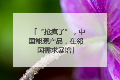 “抢疯了”，中国能源产品，在邻国需求暴增