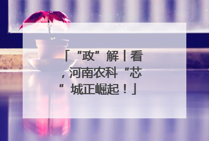 “政”解丨看，河南农科“芯”城正崛起！