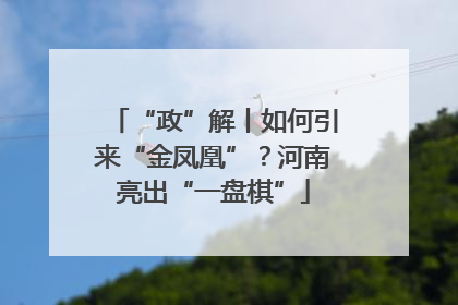 “政”解丨如何引来“金凤凰”？河南亮出“一盘棋”