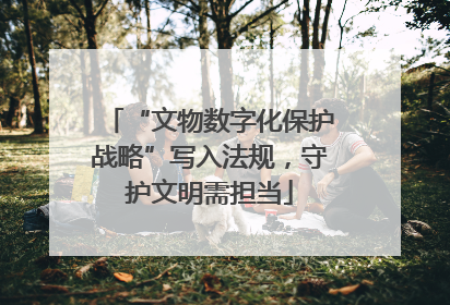 “文物数字化保护战略”写入法规，守护文明需担当