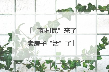 “新村民”来了 老房子“活”了