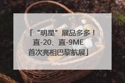“明星”展品多多！直-20、直-9ME首次亮相巴黎航展