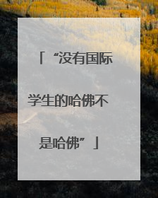 “没有国际学生的哈佛不是哈佛”