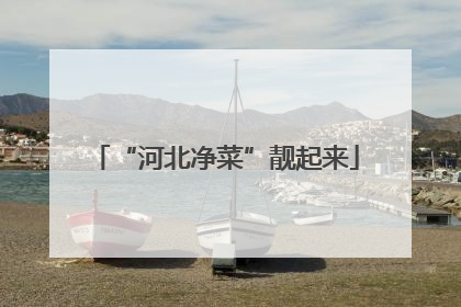“河北净菜”靓起来