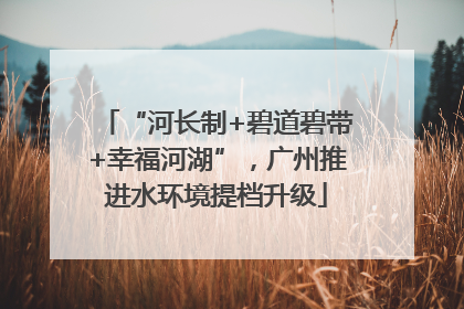 “河长制+碧道碧带+幸福河湖”，广州推进水环境提档升级