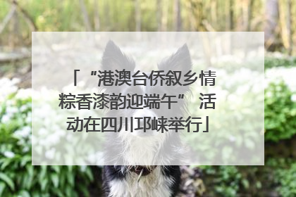 “港澳台侨叙乡情 粽香漆韵迎端午” 活动在四川邛崃举行