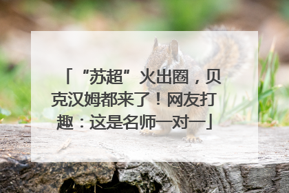 “苏超”火出圈，贝克汉姆都来了！网友打趣：这是名师一对一