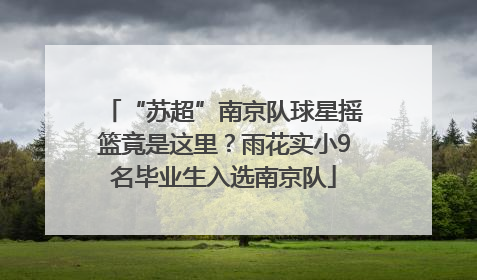 “苏超”南京队球星摇篮竟是这里？雨花实小9名毕业生入选南京队