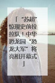 “苏超”惊现史前拉拉队！中华恐龙园“恐龙大军”将亮相开幕式