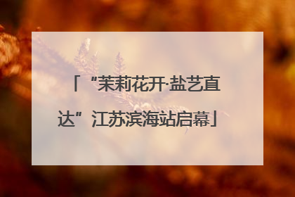 “茉莉花开·盐艺直达”江苏滨海站启幕